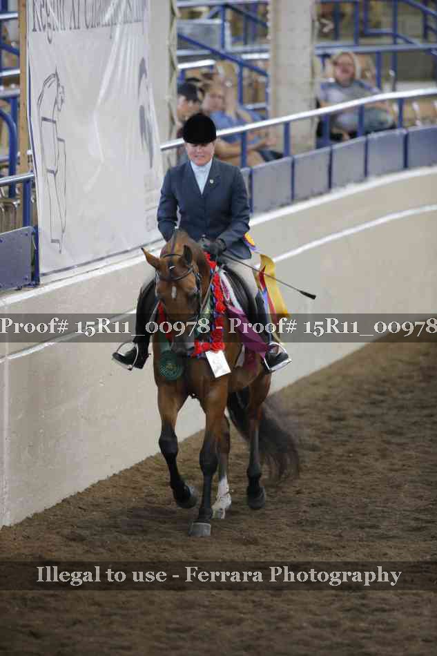 Proof Number 15R11_00978