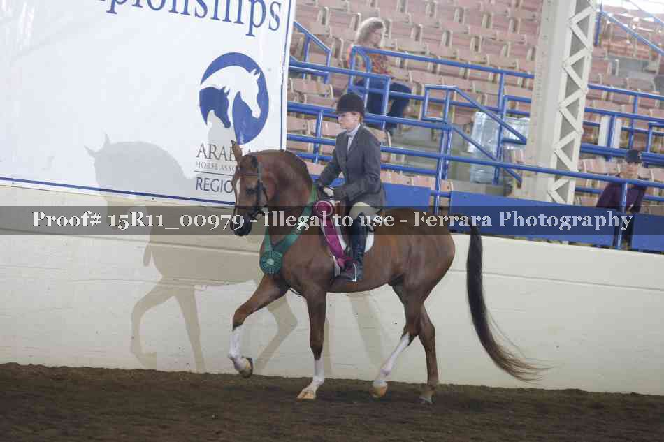 Proof Number 15R11_00979