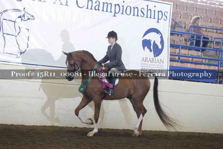 Proof Number 15R11_00981