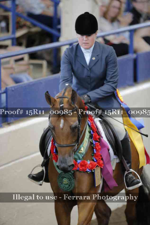 Proof Number 15R11_00985