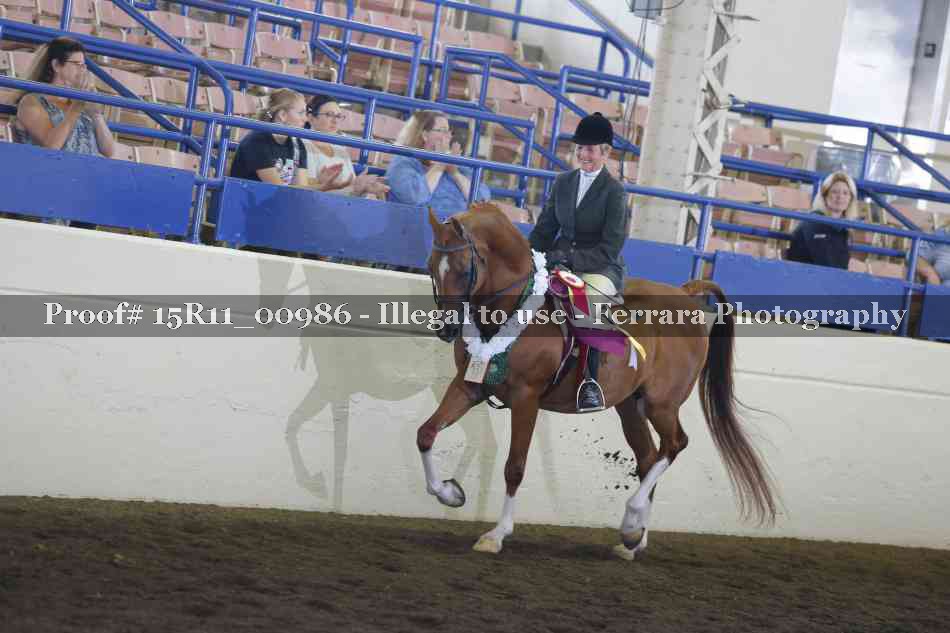 Proof Number 15R11_00986