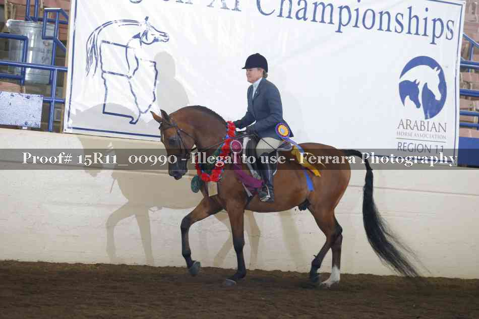 Proof Number 15R11_00990