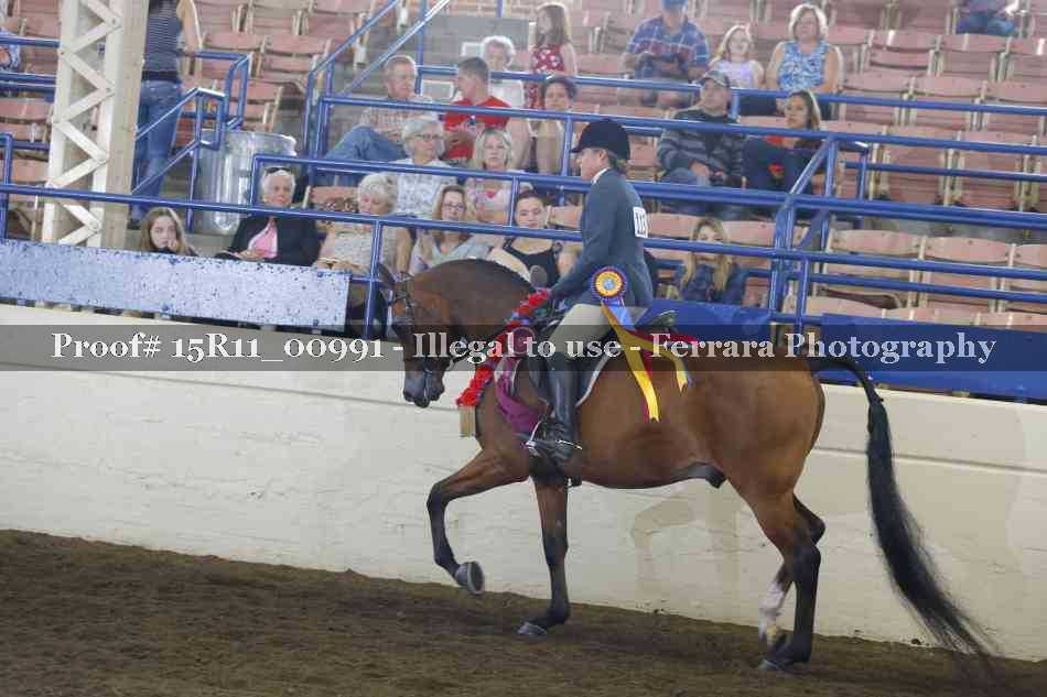 Proof Number 15R11_00991