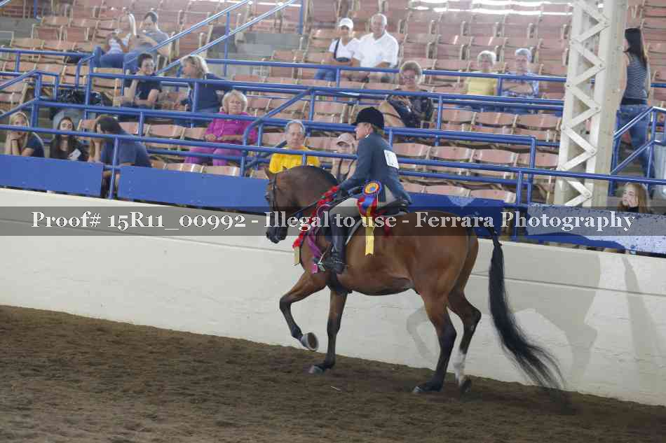 Proof Number 15R11_00992