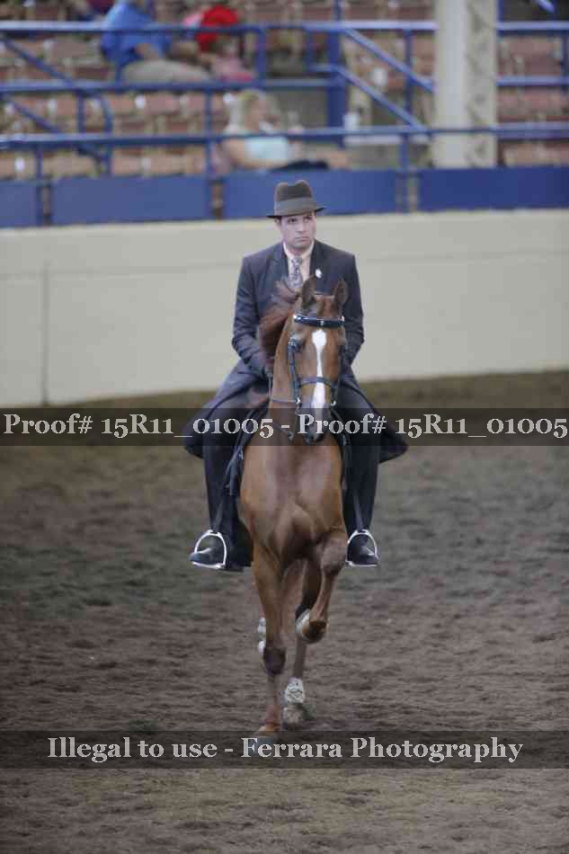 Proof Number 15R11_01005