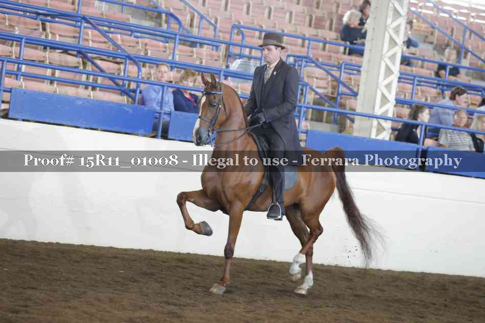 Proof Number 15R11_01008