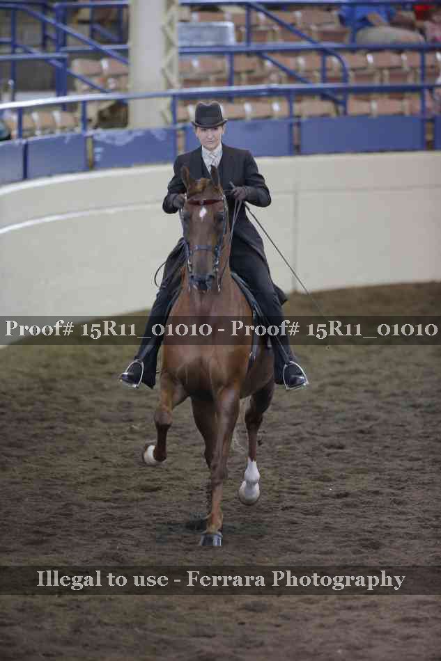 Proof Number 15R11_01010