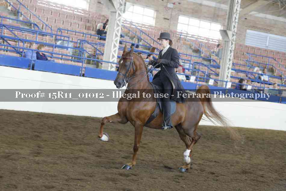 Proof Number 15R11_01012