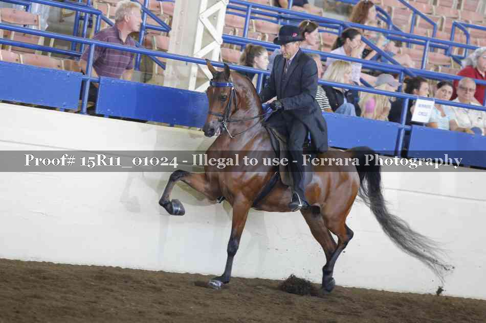 Proof Number 15R11_01024