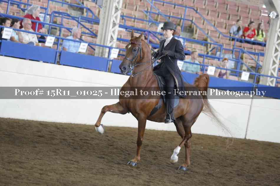 Proof Number 15R11_01025