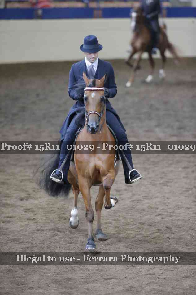 Proof Number 15R11_01029
