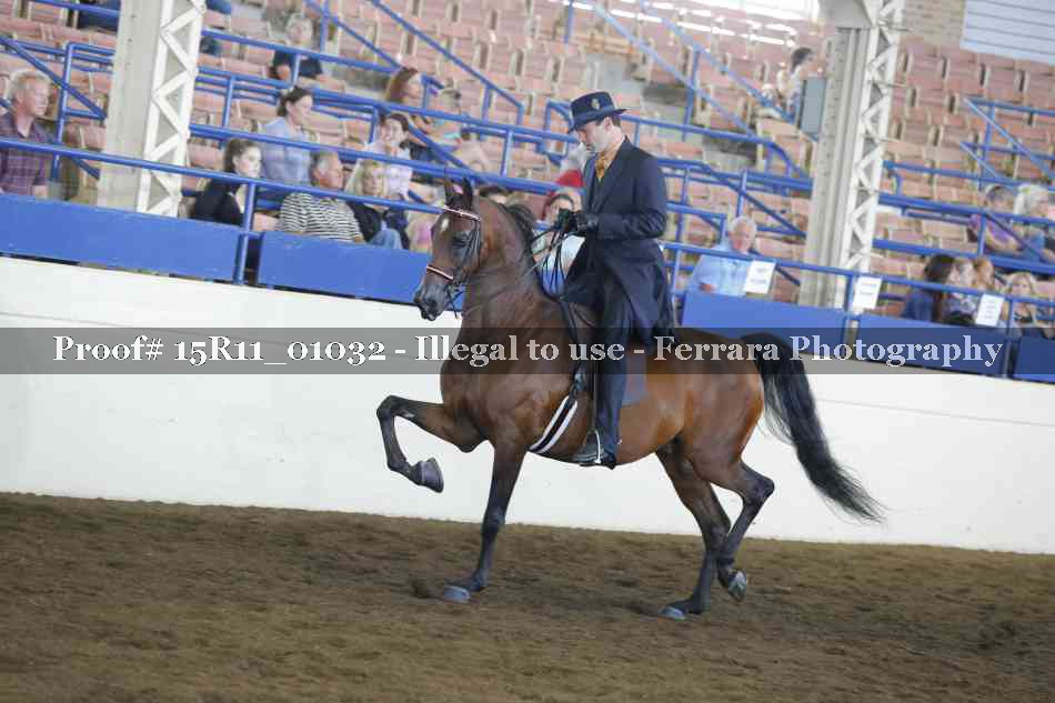 Proof Number 15R11_01032