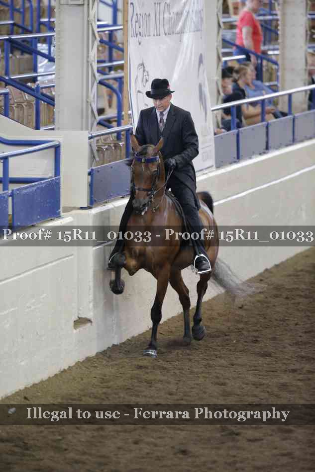 Proof Number 15R11_01033
