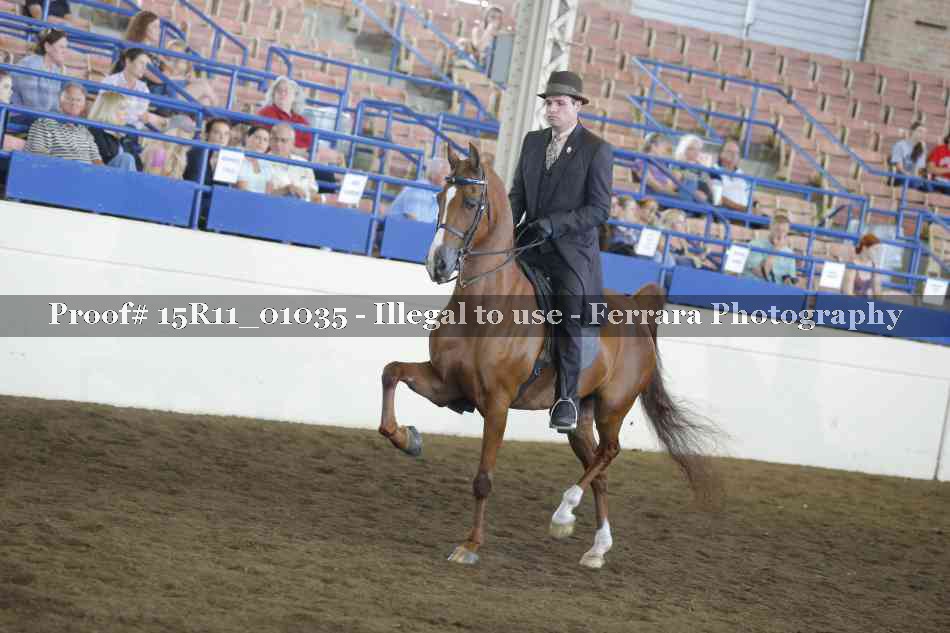 Proof Number 15R11_01035