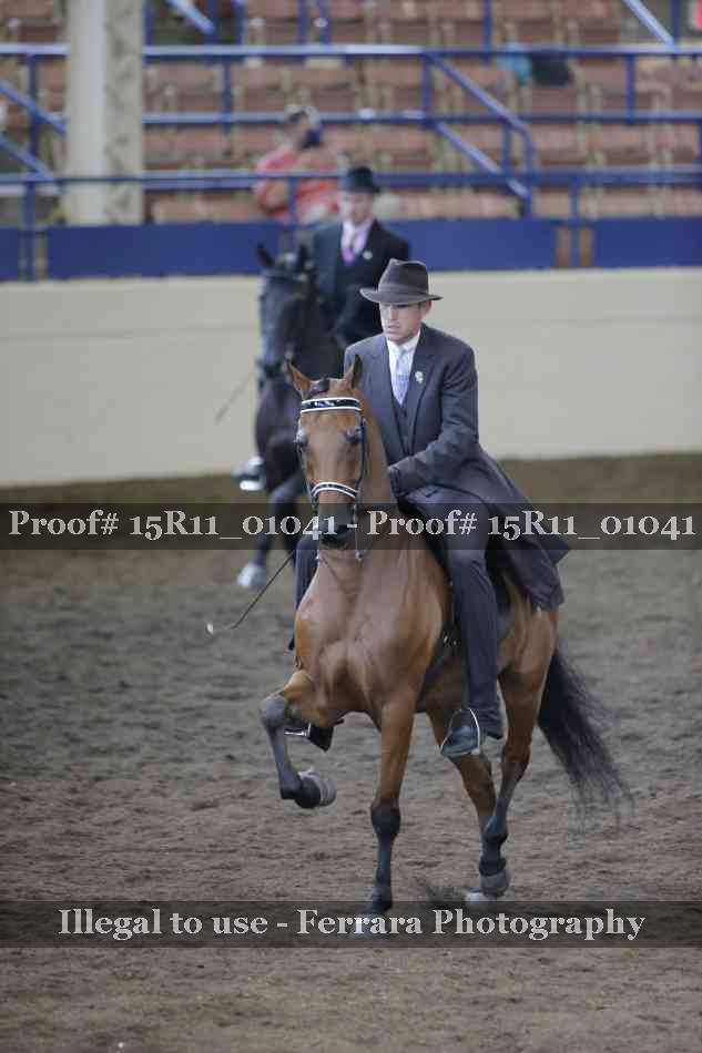 Proof Number 15R11_01041