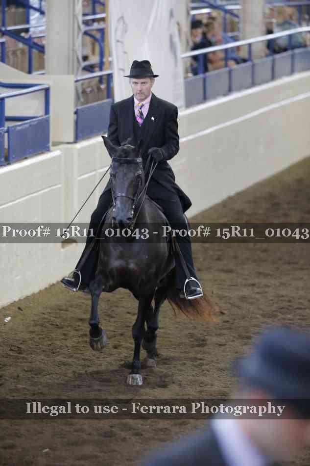 Proof Number 15R11_01043