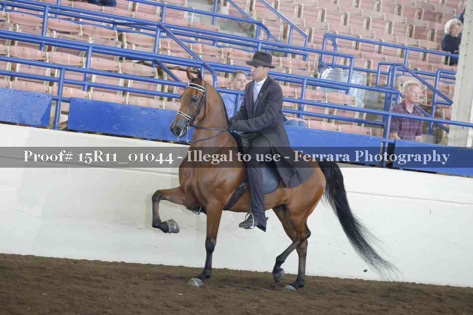 Proof Number 15R11_01044