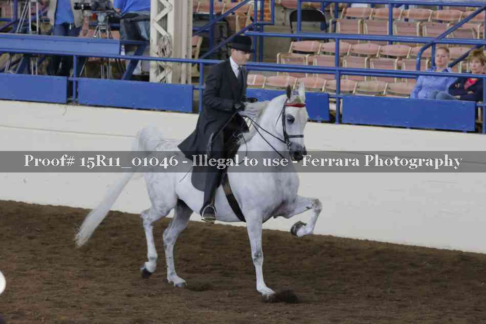 Proof Number 15R11_01046
