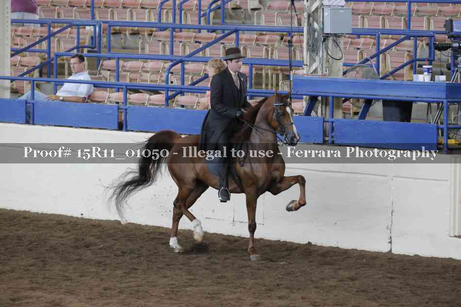 Proof Number 15R11_01050