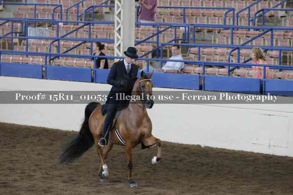 Proof Number 15R11_01053