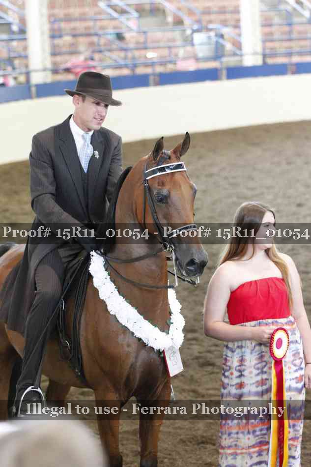 Proof Number 15R11_01054