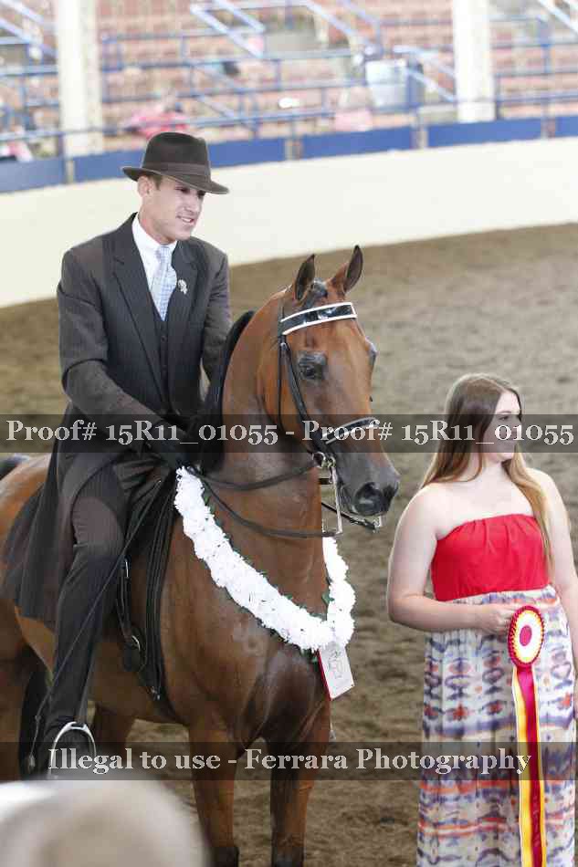 Proof Number 15R11_01055