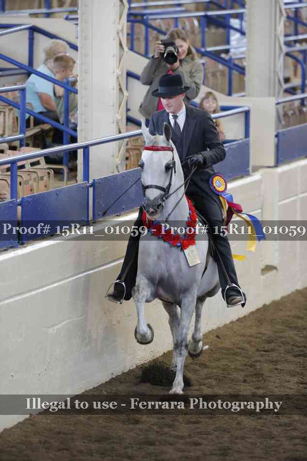 Proof Number 15R11_01059
