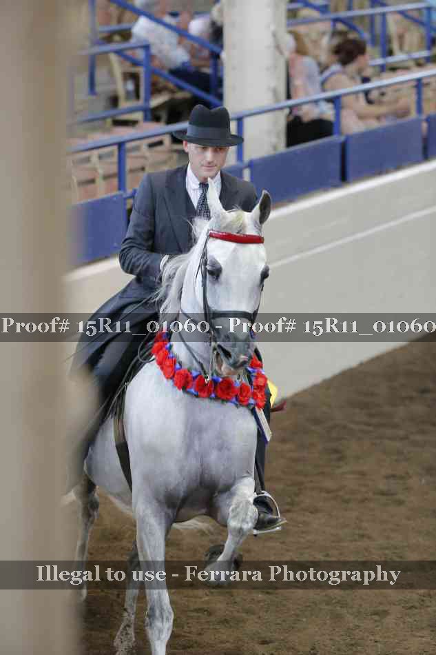 Proof Number 15R11_01060