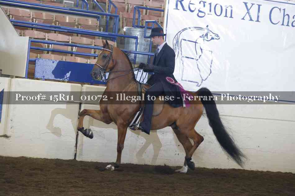 Proof Number 15R11_01072