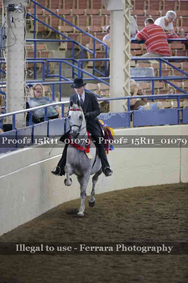 Proof Number 15R11_01079