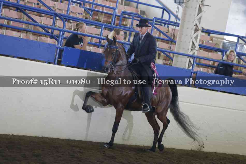 Proof Number 15R11_01080