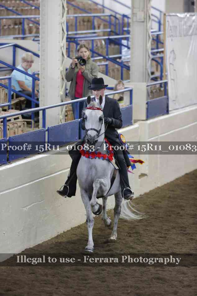 Proof Number 15R11_01083