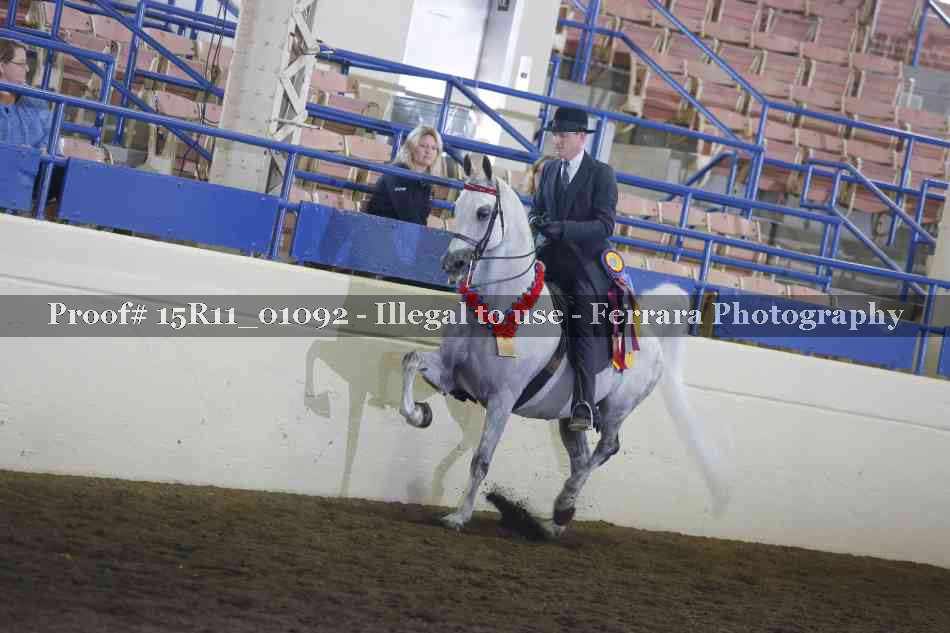 Proof Number 15R11_01092
