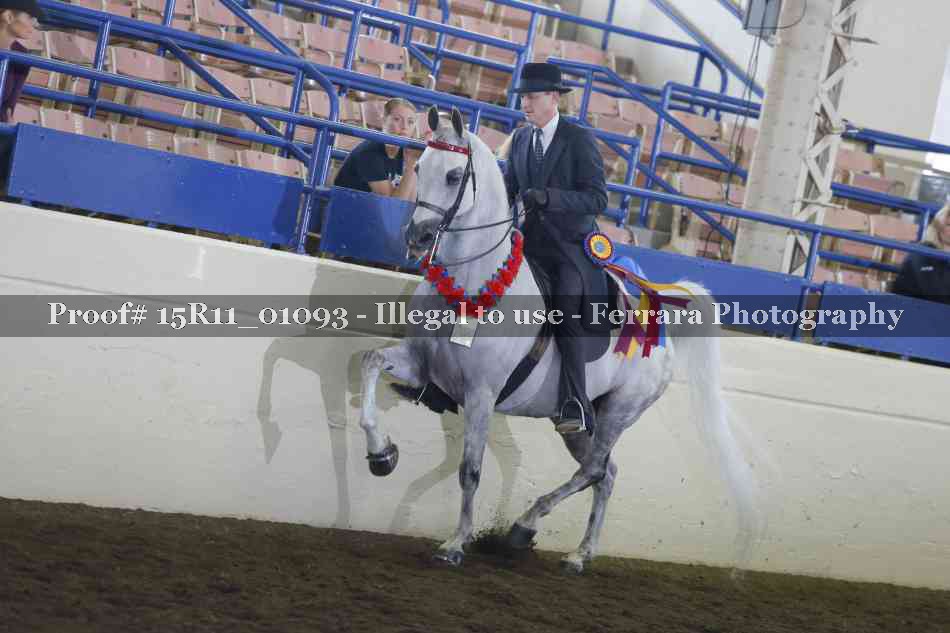 Proof Number 15R11_01093