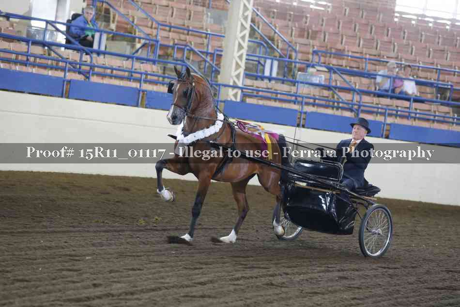 Proof Number 15R11_01117