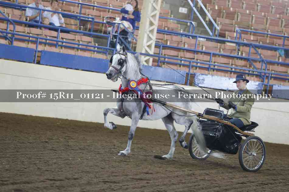 Proof Number 15R11_01121