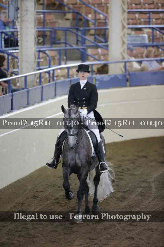 Proof Number 15R11_01140