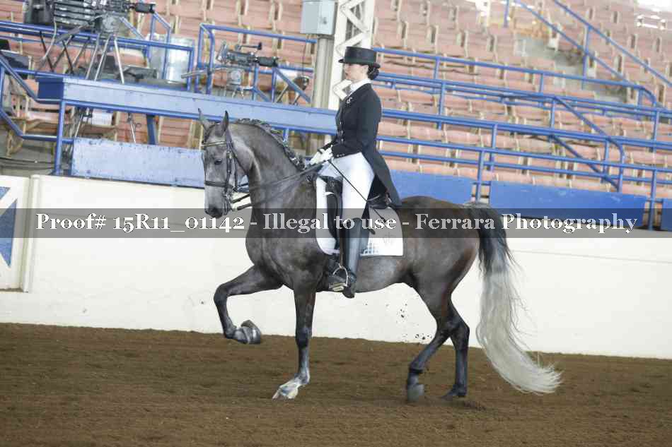 Proof Number 15R11_01142