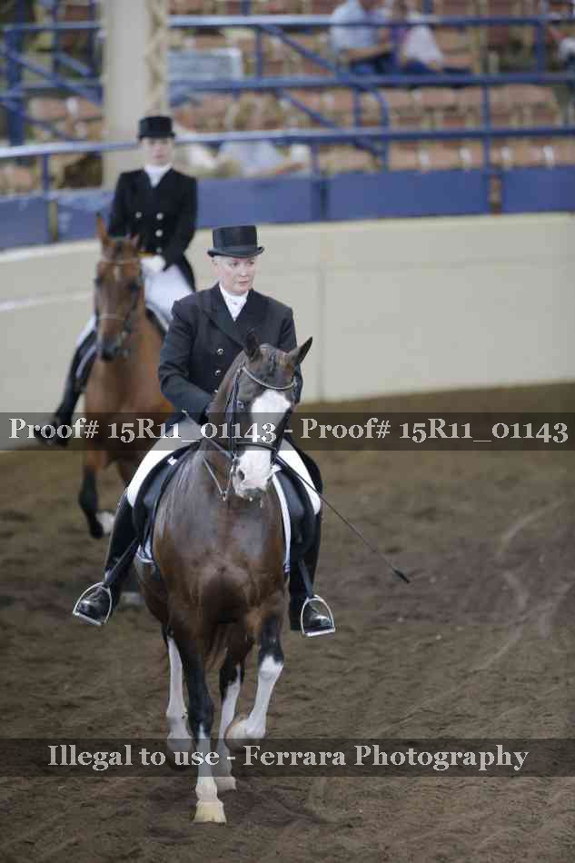 Proof Number 15R11_01143