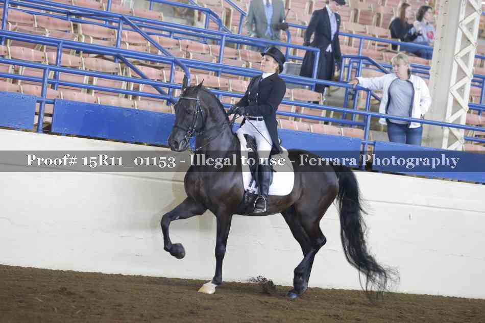 Proof Number 15R11_01153