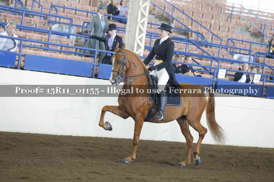 Proof Number 15R11_01155