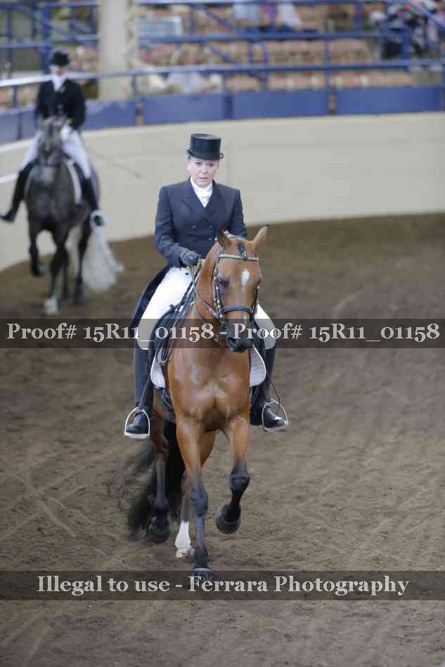 Proof Number 15R11_01158