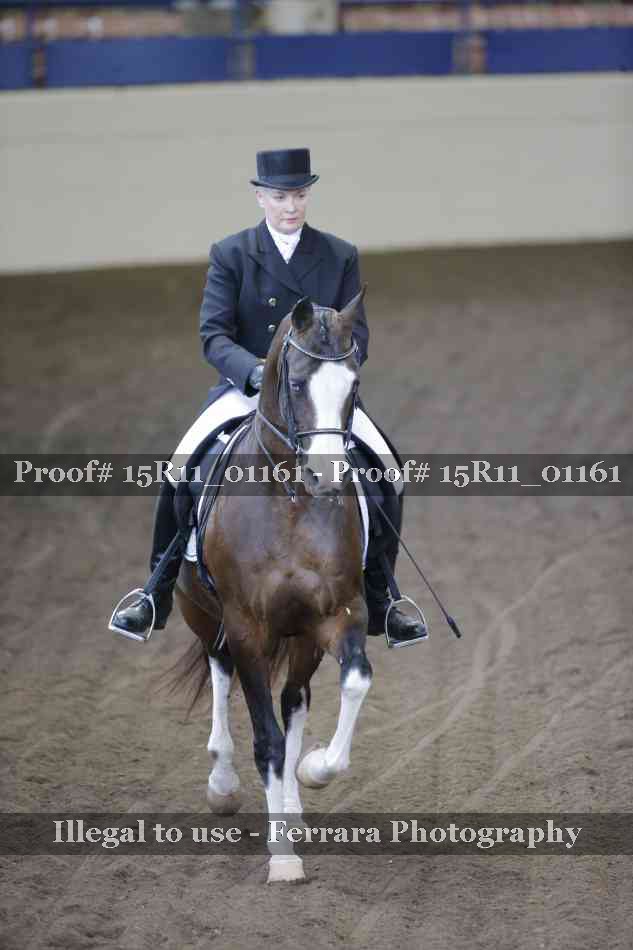 Proof Number 15R11_01161