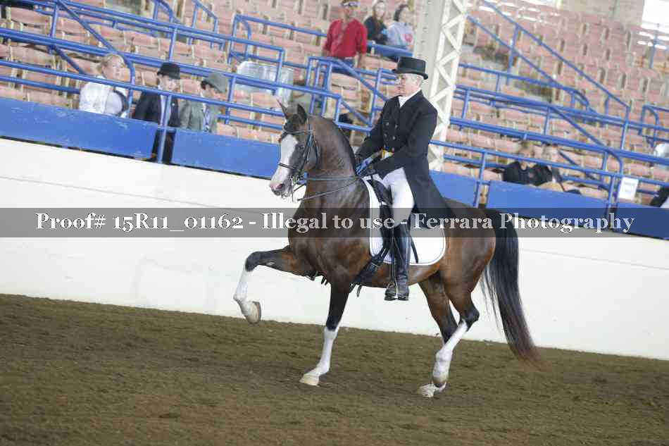 Proof Number 15R11_01162