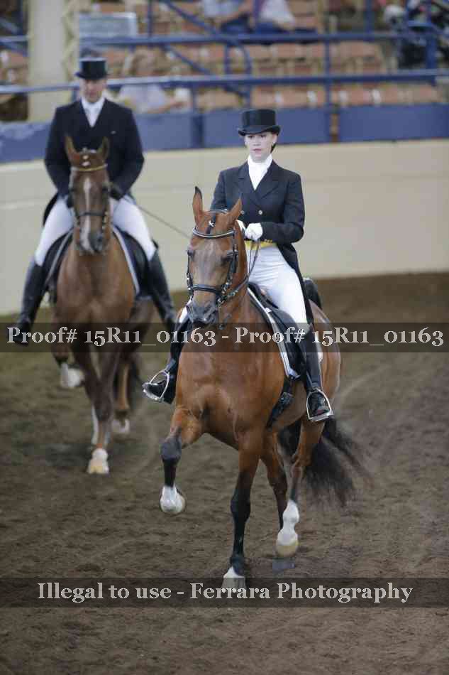 Proof Number 15R11_01163
