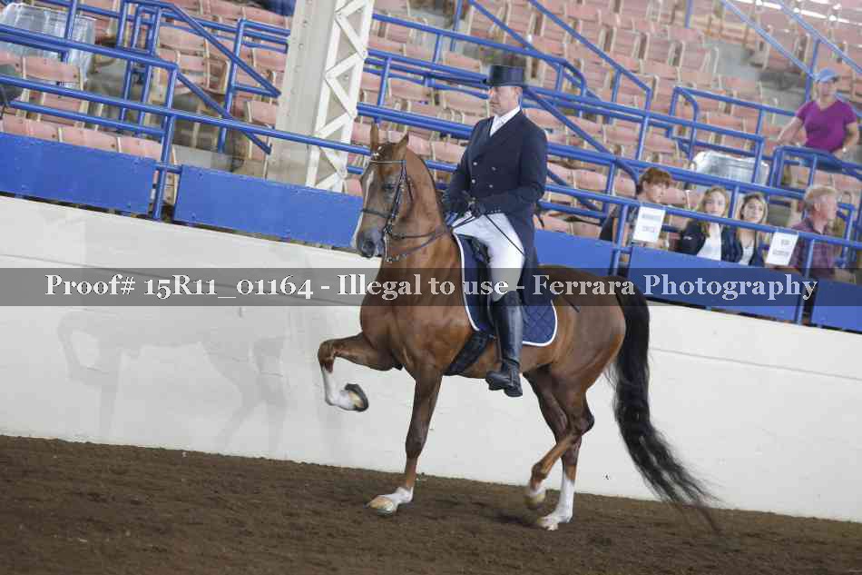 Proof Number 15R11_01164