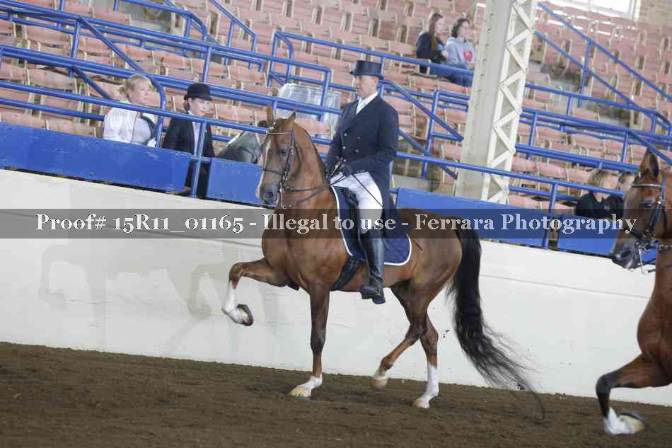 Proof Number 15R11_01165