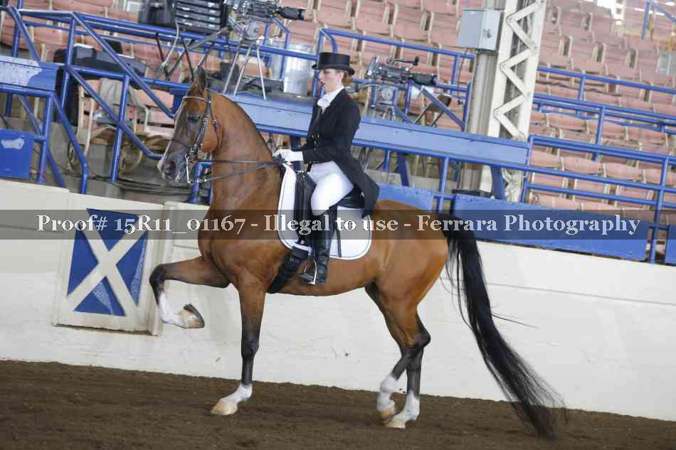 Proof Number 15R11_01167