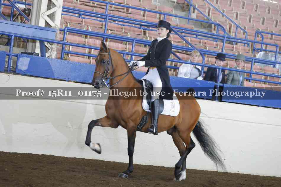 Proof Number 15R11_01175