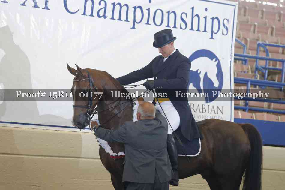 Proof Number 15R11_01177